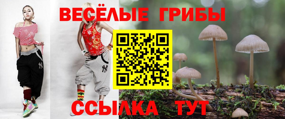 Псилоцибиновые грибы мухоморы Бахчисарай